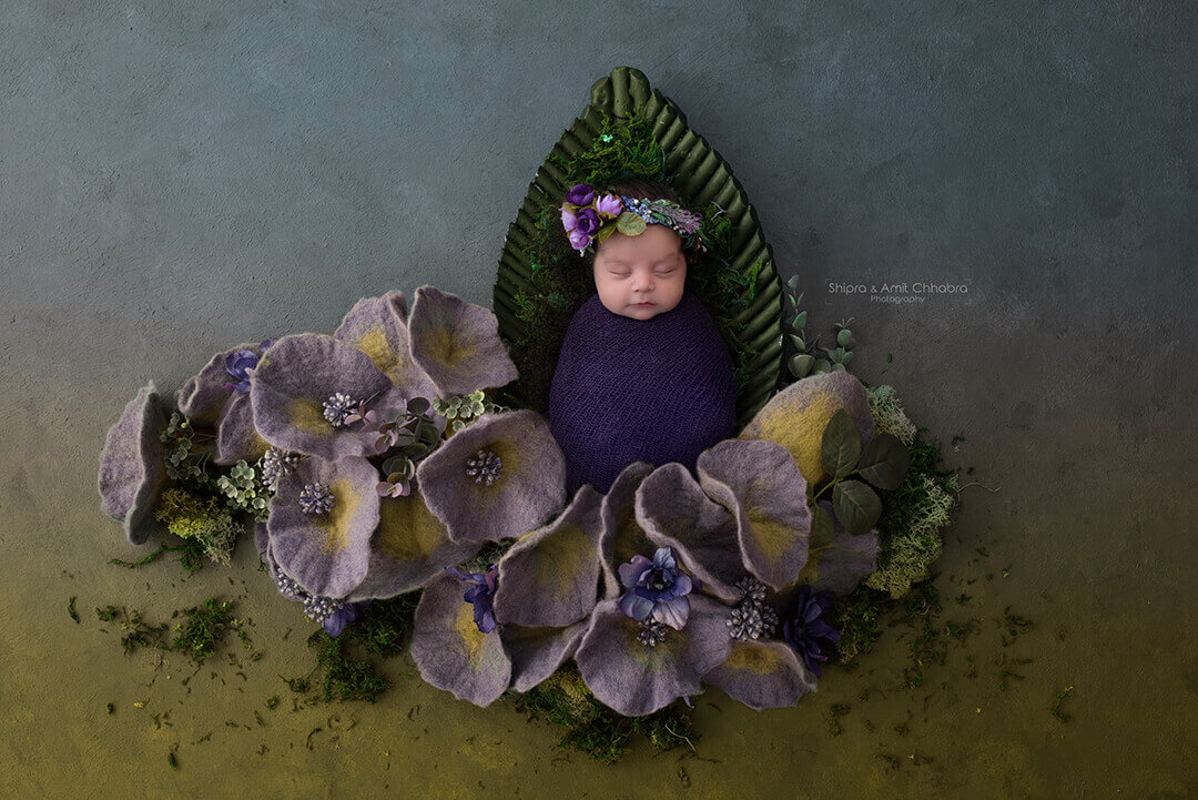 Newborn Photography Delhi Shipra Amit Baby Girl Photo