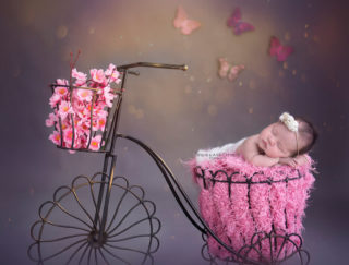 Newborn Baby Photo shoot Delhi - Shipra Amit Chhabra