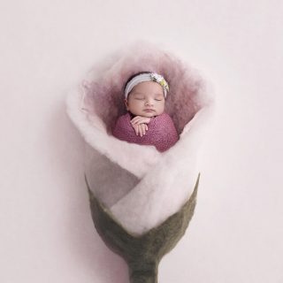 Newborn-Photoshoot-Delhi-India-Shipra-Amit-Chhabra_320
